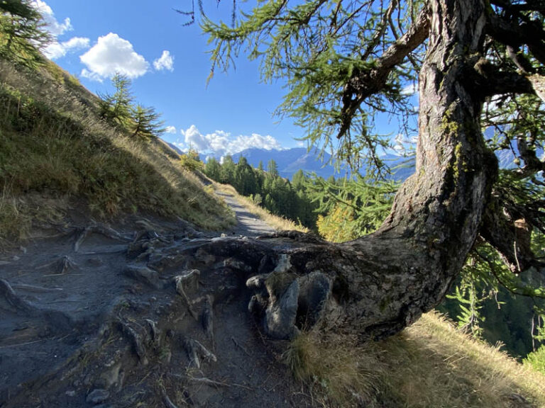 sentiero rifugio bertone