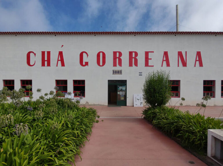 cha gorreana tea factory