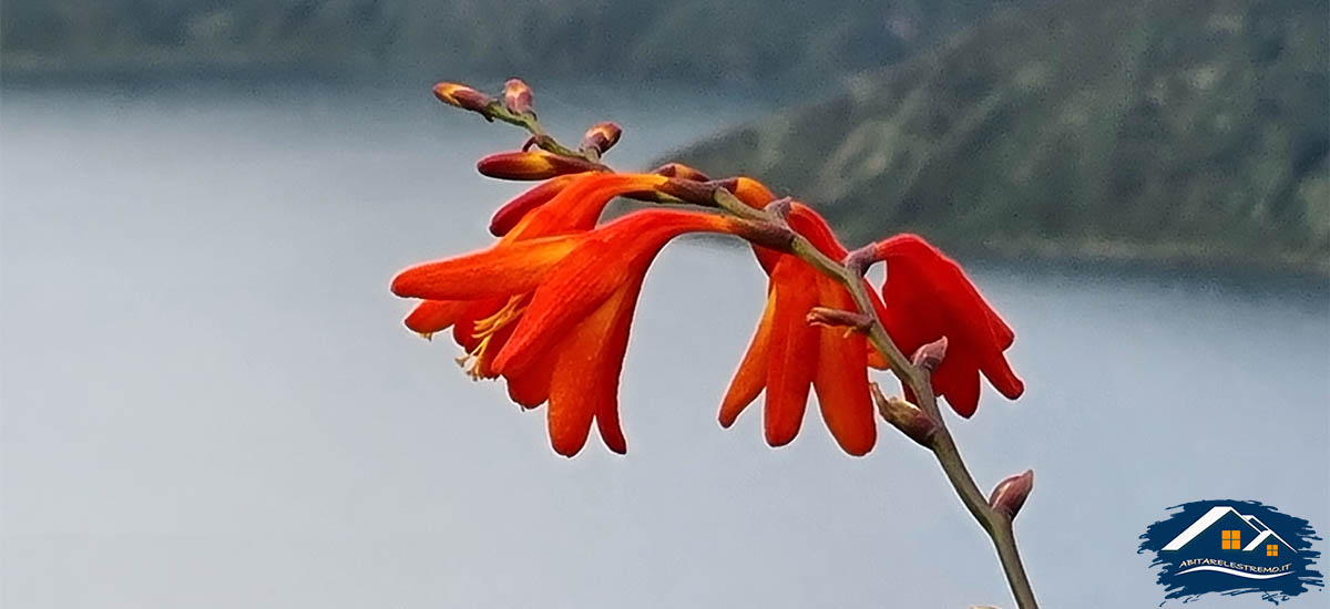 lagoa do fogo