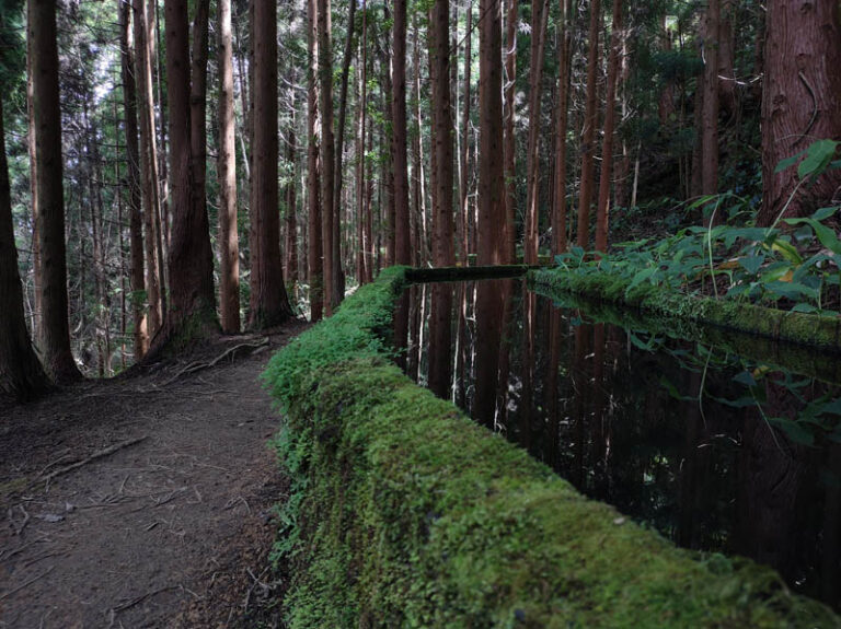 lagoa do fogo