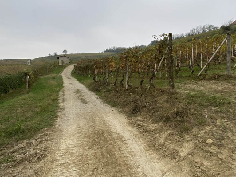 sentiero barolo - monforte d'alba - barolo