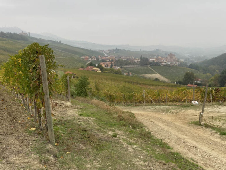 sentiero barolo - monforte d'alba - barolo