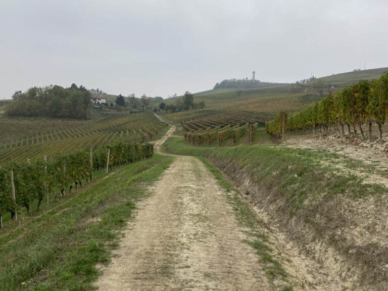 sentiero barolo - monforte d'alba - barolo