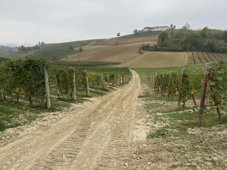 sentiero barolo - monforte d'alba - barolo