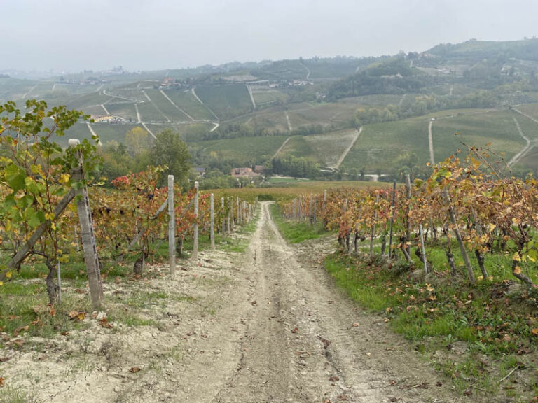 sentiero barolo - monforte d'alba - barolo