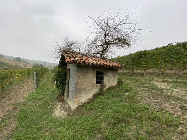 sentiero barolo - monforte d'alba - barolo