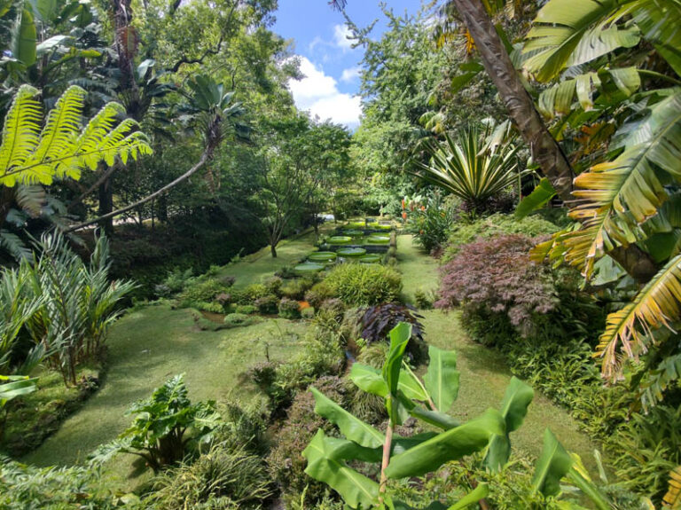 terra nostra garden azzorre sao miguel