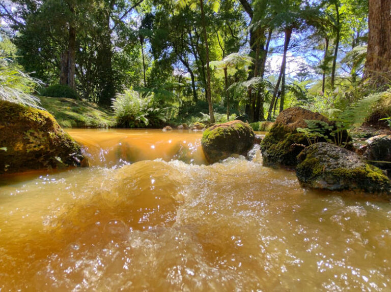 terra nostra garden azzorre sao miguel