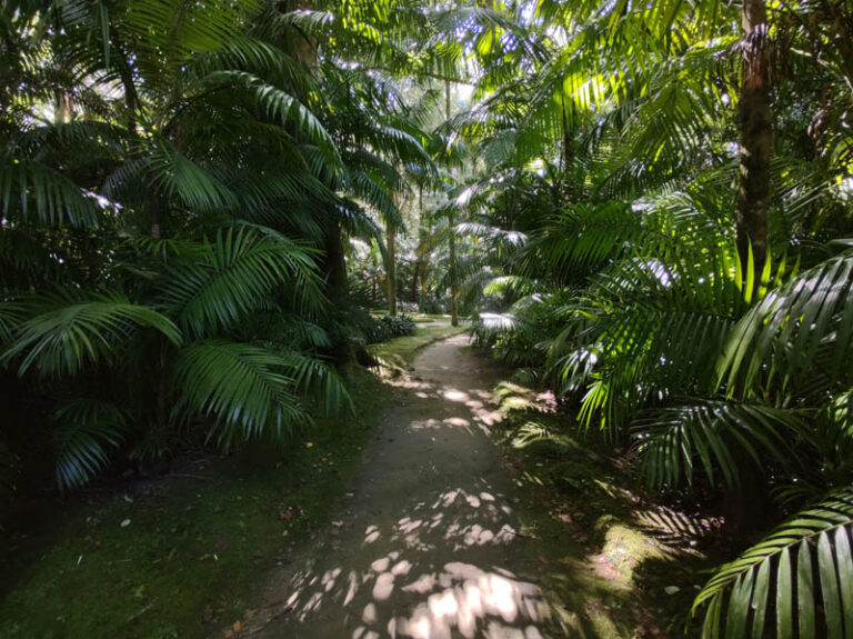 terra nostra garden furnas