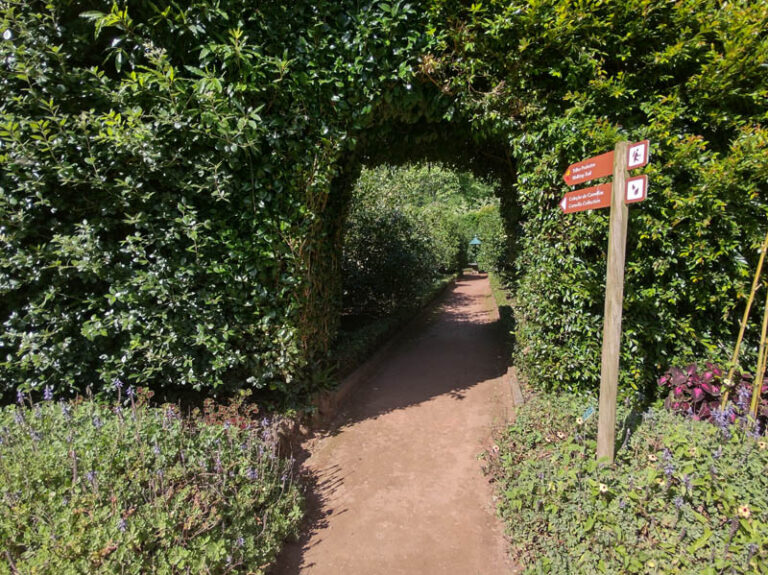 terra nostra garden furnas