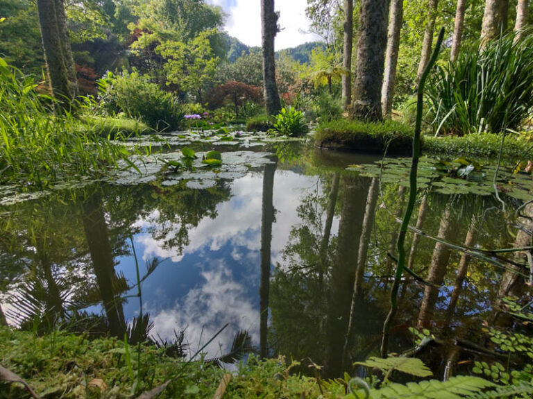 terra nostra garden furnas