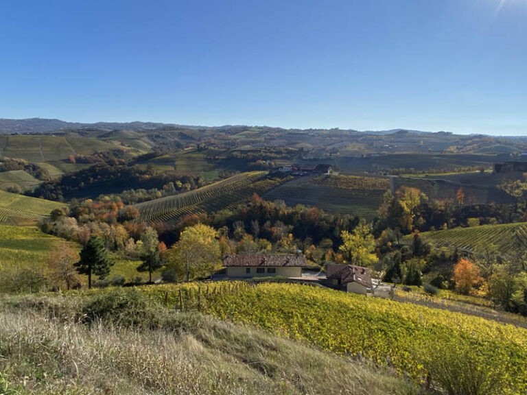 colline delle Langhe