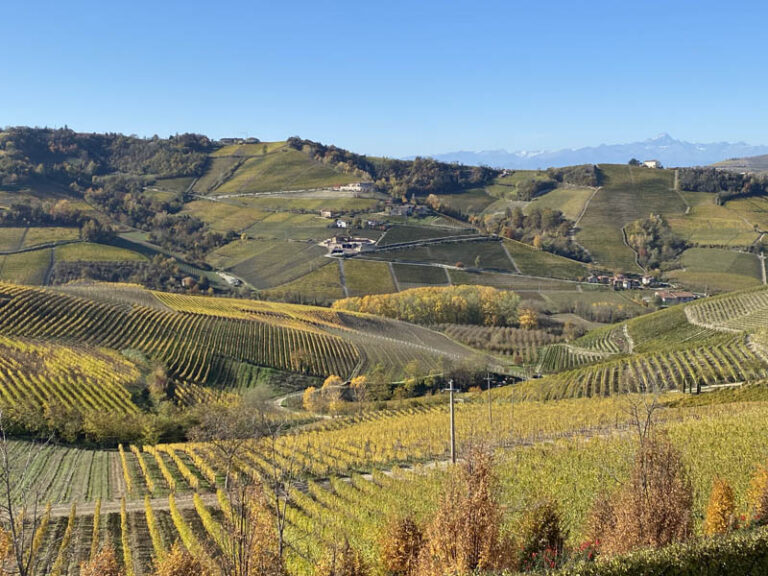 sentiero monnforte d'alba - serralunga d'alba