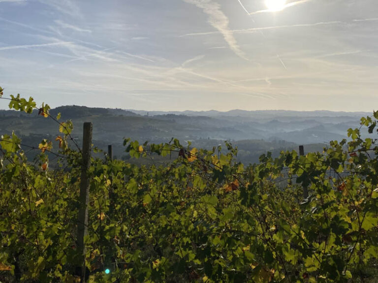 colline delle langhe