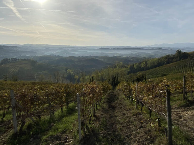 colline delle langhe