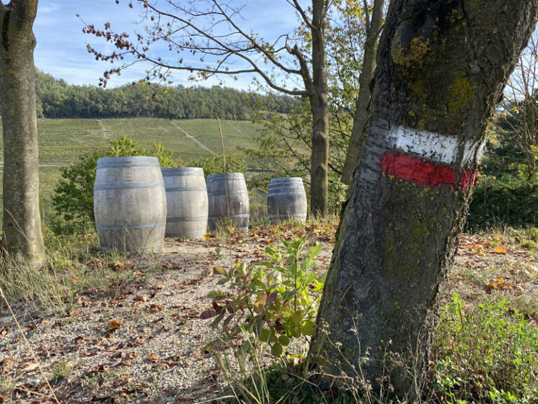 località panirole