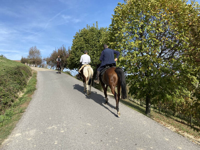 sentiero novello - monforte d'alba