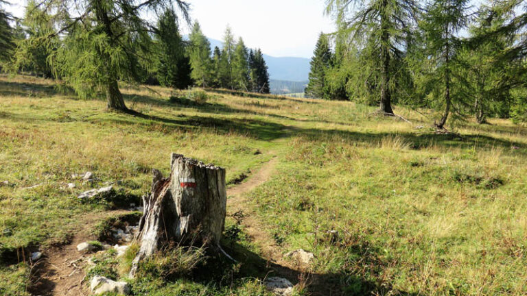 verso Bocchetta Larici