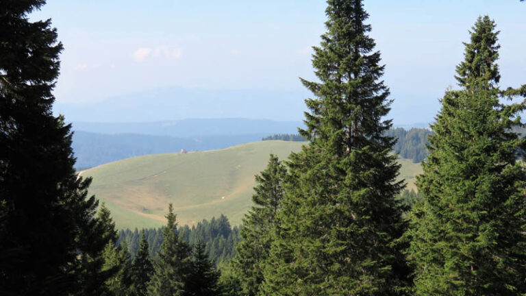 malga Dosso di Sopra