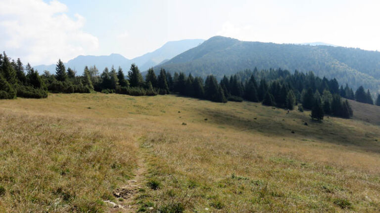 Cima Larici e la lontana Cima Portule