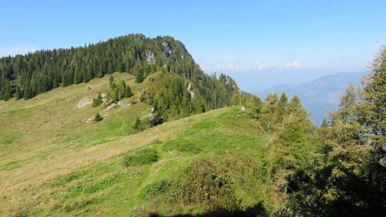 verso cima mandriolo