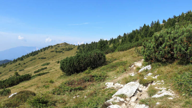 verso cima mandriolo