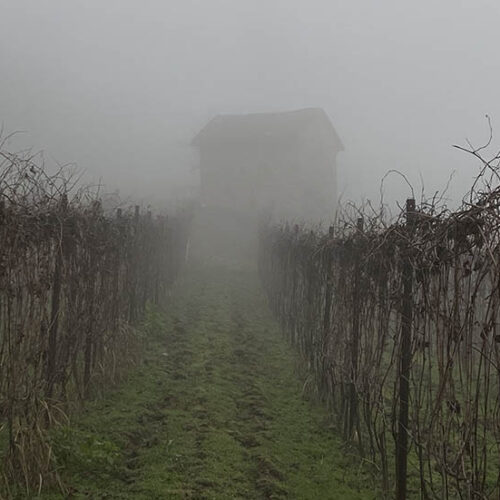 sentiero n° 303 monforte d'alba - perno - castiglione falletto - monforte d'alba