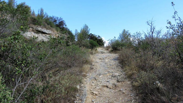 Caverna delle Arene Candide