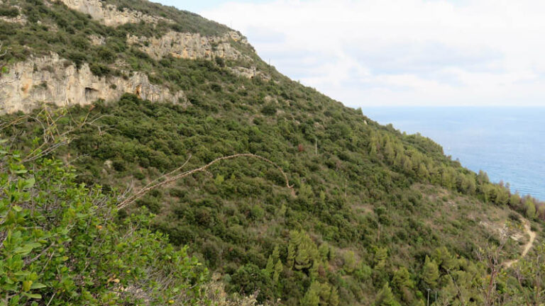 Caprazoppa sentiero natura borgio verezzi