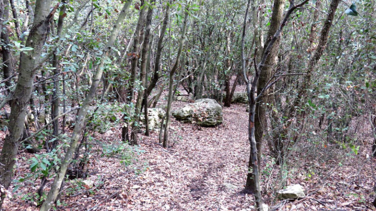 trekking sentiero cultura borgio verezzi