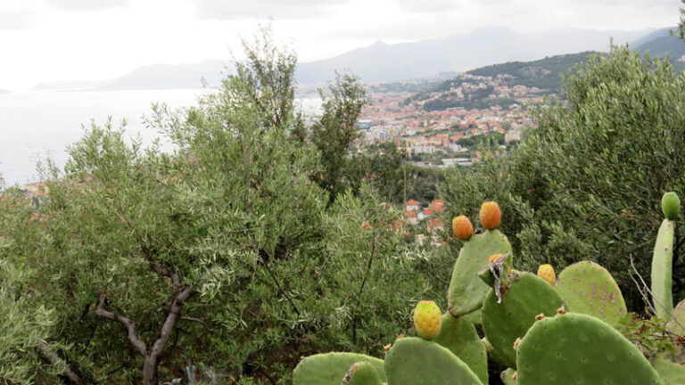 trekking sentiero cultura borgo verezzi