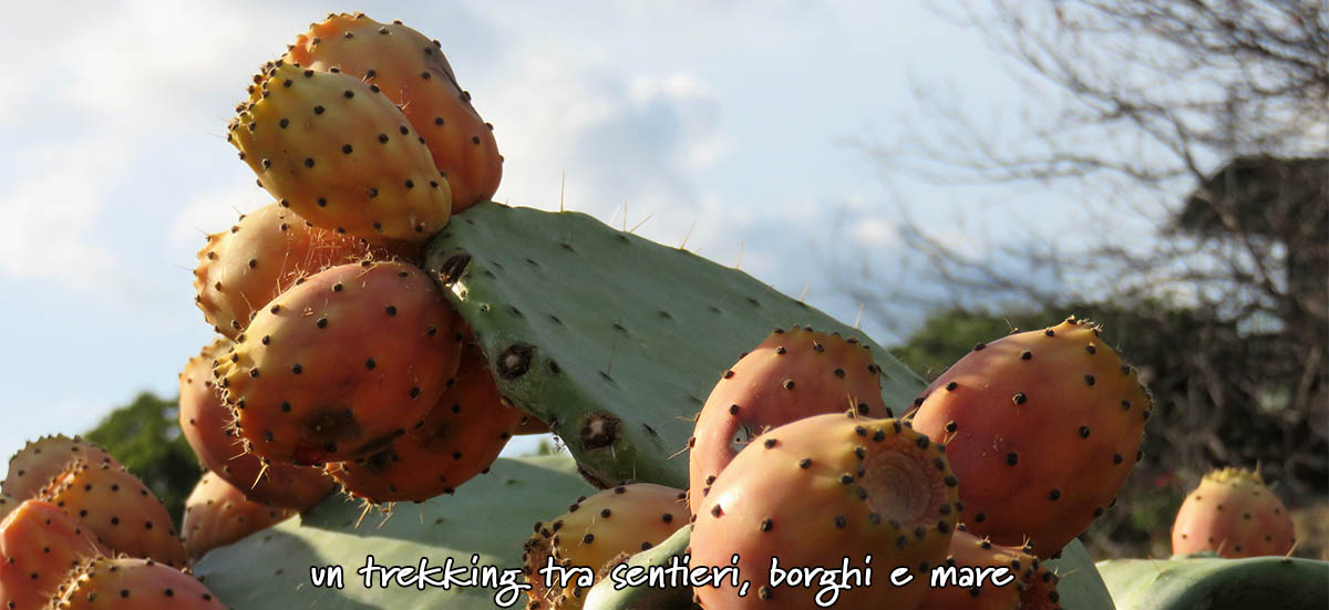 sentiero natura borgio verezzi