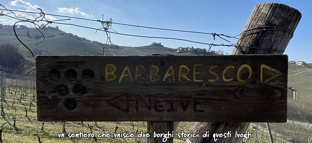 sentiero neive - barbaresco