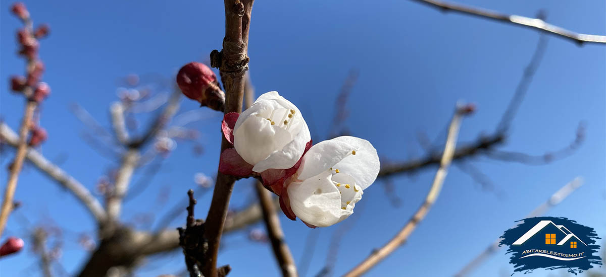 i colori primaverili del sentiero 313 neive - barbaresco