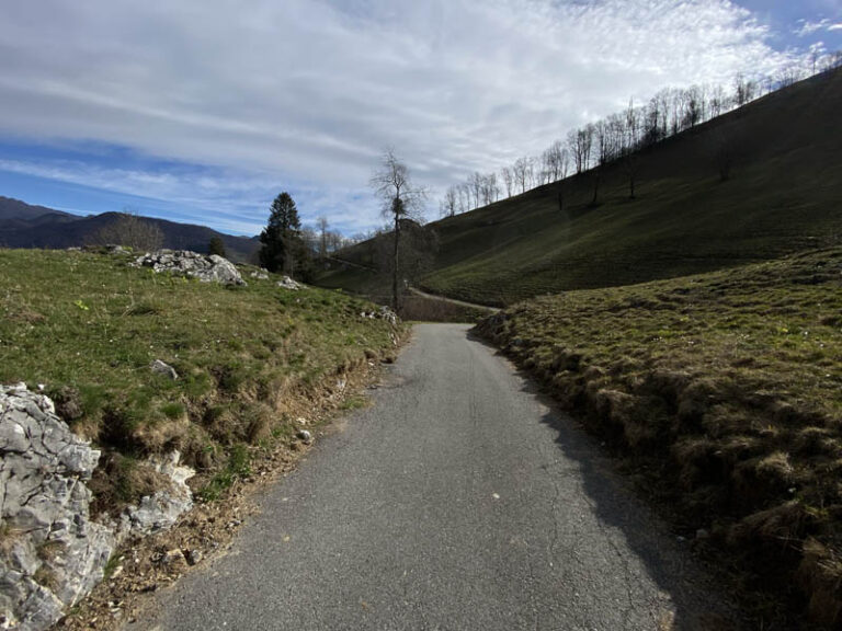 sentiero dei grandi alberi morterone