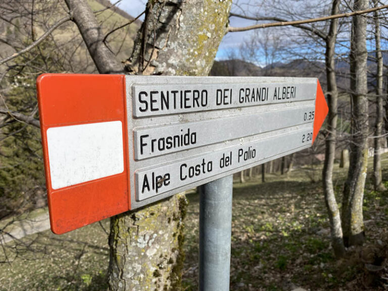 sentiero dei grandi alberi morterone