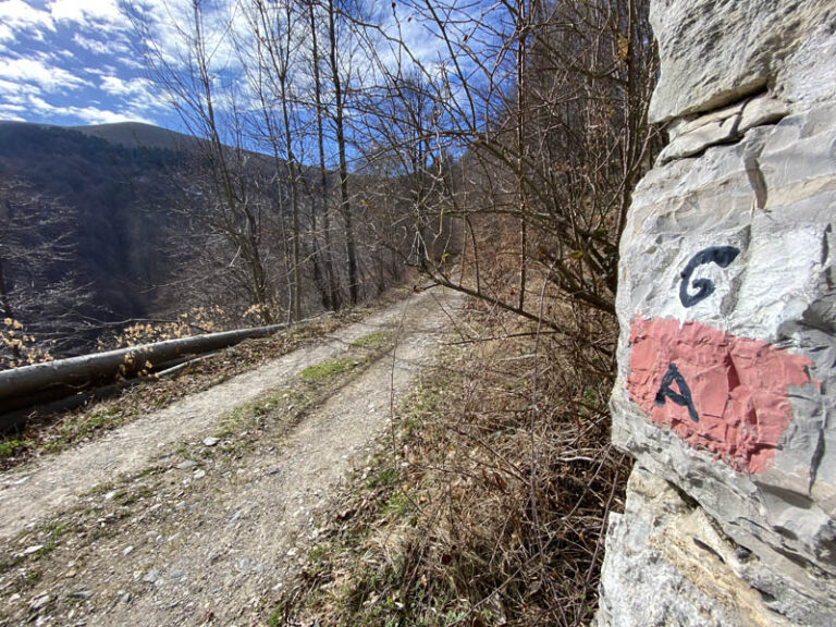 sentiero dei grandi alberi morterone