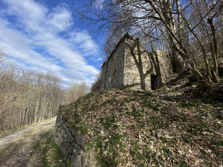 sentiero dei grandi alberi morterone