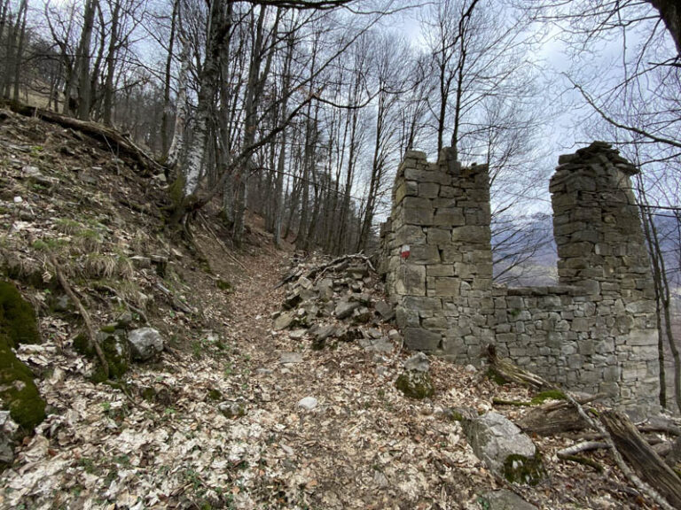 sentiero dei grandi alberi morterone