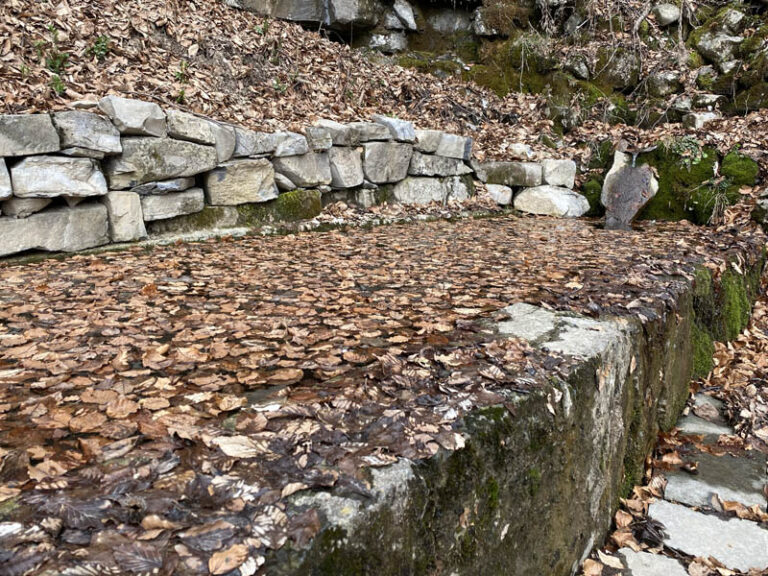 fontana del merlo sentiero dei grandi alberi