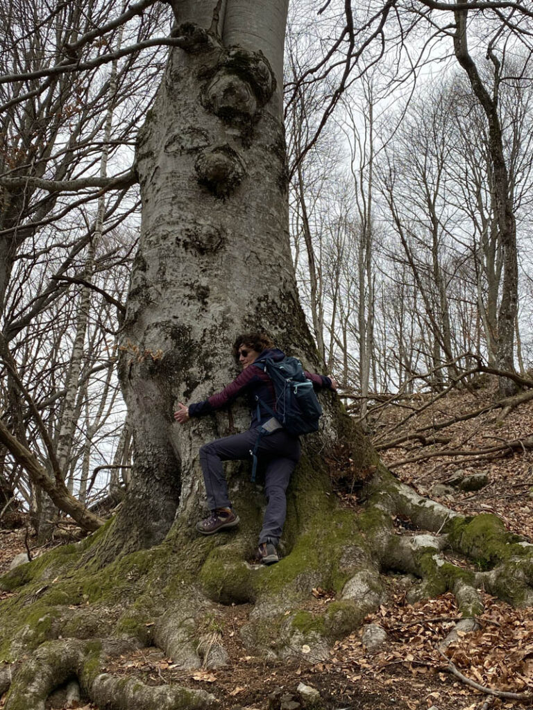 Dopo circa 15 minuti di cammino, si entra dentro al bosco, passando accanto a faggi con un diametro del tronco di oltre un metro e uno sviluppo in altezza che sfiora i 30 m. Pensate che queste sono piante che possono vivere anche oltre 150 anni. L’ampia poderale è sempre agevole e i frequenti simboli bianchi e rossi con la dicitura “GA”, rappresentano un punto di riferimento che troveremo molto spesso lungo tutta la tratta. Sole e nuvole si intervallano in questa prima parte della giornata, andando a disegnare curiose ombre sul terreno e andando a illuminare vecchie baite in pietra ormai abbandonate, che troviamo lungo il nostro cammino, insieme ad altri piccoli gruppetti di case che formano minuscoli paesini. Gli anelli in ferro attaccati ai muri delle antiche baite, testimoniano la tradizione contadina del luogo, dove in passato venivano annodate le corde degli animali.