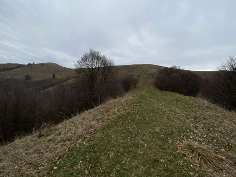 sentiero dei grandi alberi morterone