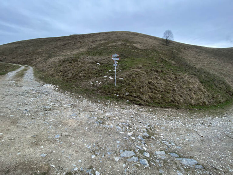 cul volt sentiero dei grandi alberi