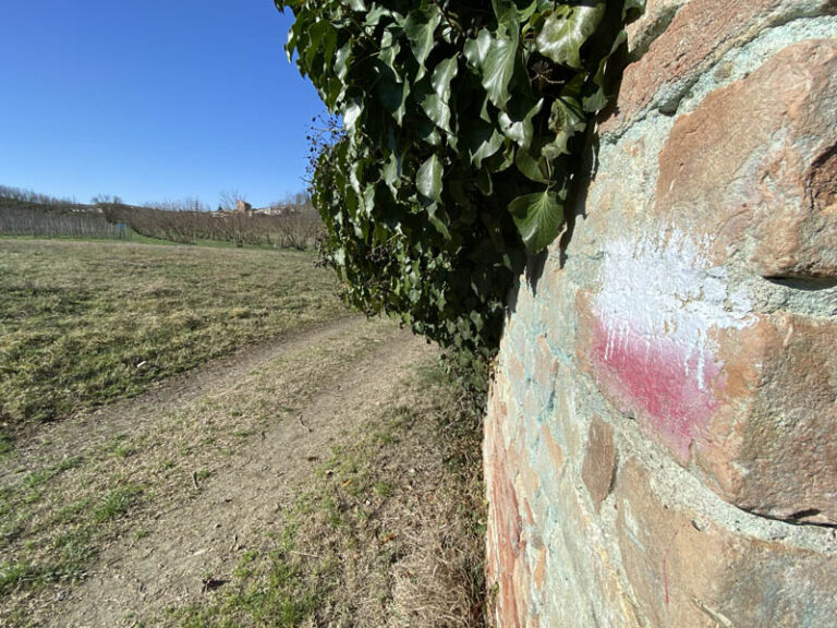 sentiero 313 neive barbaresco