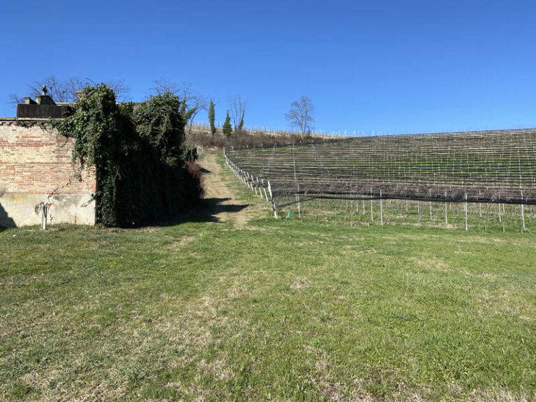 sentiero 313 neive barbaresco