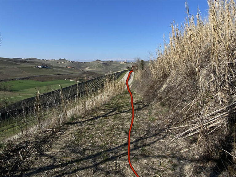 sentiero 313 neive barbaresco