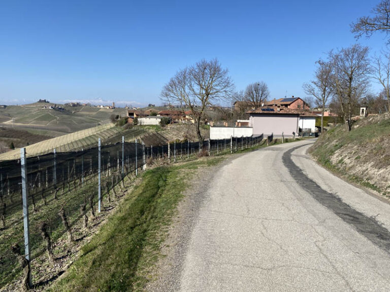 sentiero neive - barbaresco