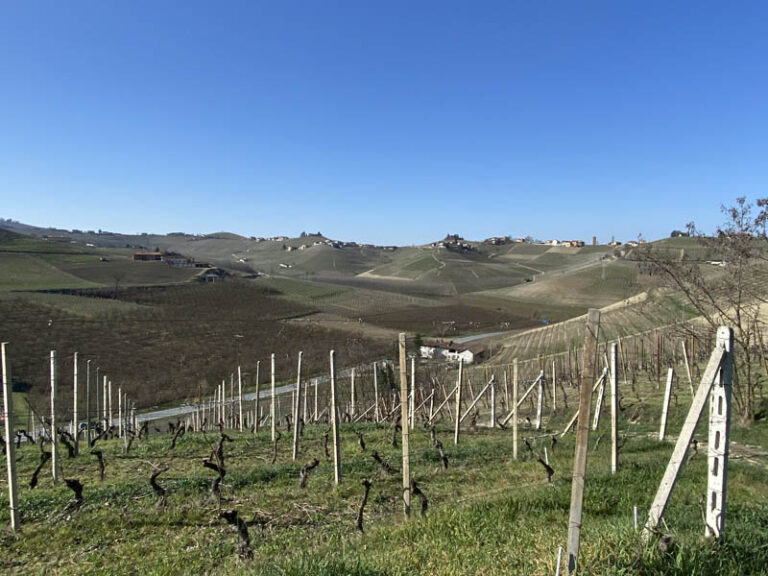 vigneti sentiero neive barbaresco