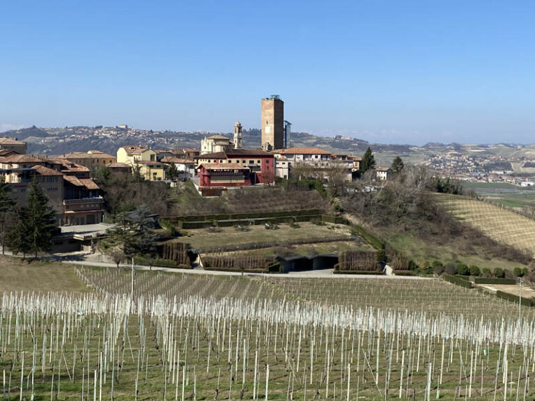 sentiero 313 neive - barbaresco