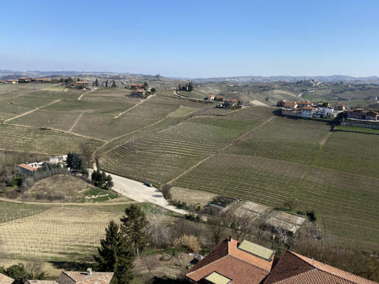 colline delle langhe e del roero